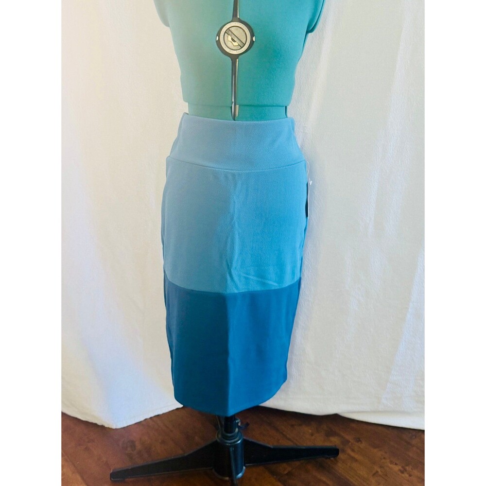 NWT LuLaRoe Cassie skirt. Size large. Brand new with tags.